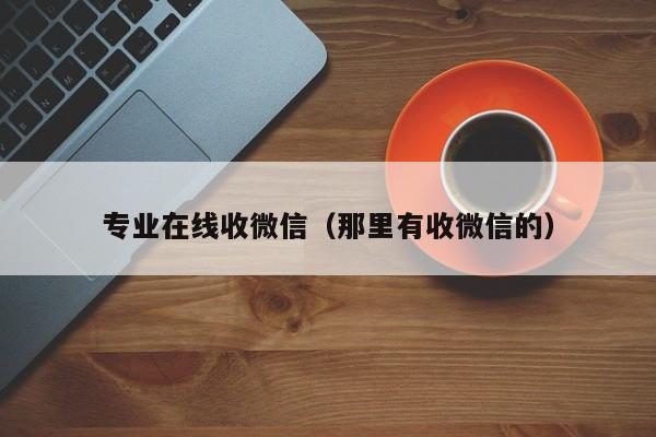 专业在线收微信（那里有收微信的）